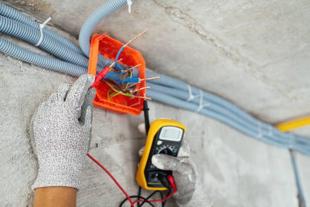 Best Electric Panel Repair  in Healdton, OK